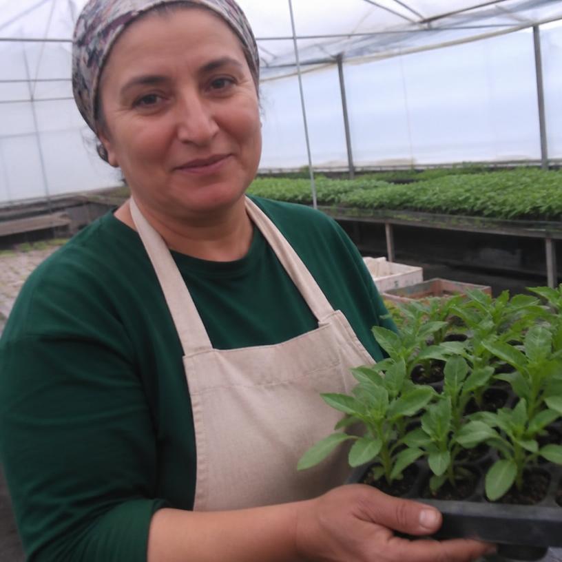 Sevgi Aydın — Bafra / Samsun